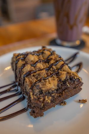 Brownie @danijodar at BiO2 Lab in Sao Paulo