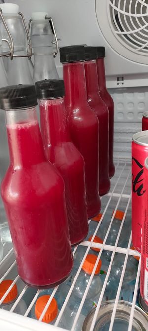 Purple detox in both 350 ML and 250 ML sizes. Beetroot, Carrots, Lime, Ginger, Honey at Salam Kebab & Vegan Berawa in Canggu