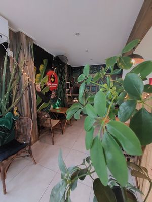 Inside bonwokkie #Veganuary at Bon Wokkie in Kralendijk