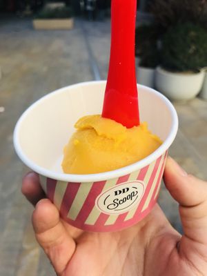 Mango   at DD Scoop in Istanbul
