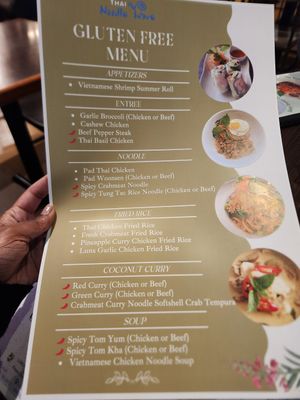 Gluten-free menu (they said all but a few of these can be made vegan) at Noodle Wave in Mckinney