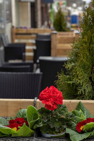 Patio at Maurya's.Rest.Bar.Banquet in Kamloops