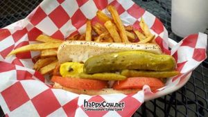  at Huey's Hot Dogs in Chicago