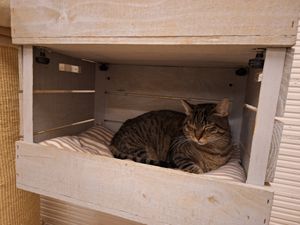  at La Fábrica de Huellas in Valencia