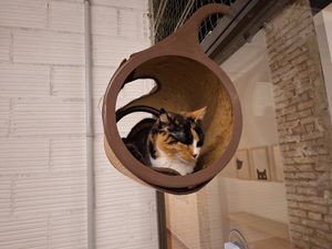  at La Fábrica de Huellas in Valencia