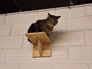  at La Fábrica de Huellas in Valencia