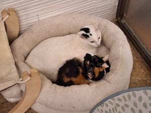  at La Fábrica de Huellas in Valencia