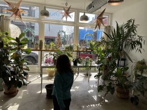   at Happy Chicks Bakery in Cincinnati