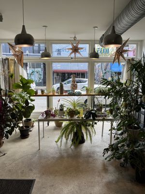Lots of plants!  at Happy Chicks Bakery in Cincinnati