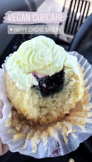 Cupcake at Happy Chicks Bakery in Cincinnati