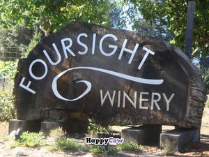sign on roadside at Foursight Wines in Boonville