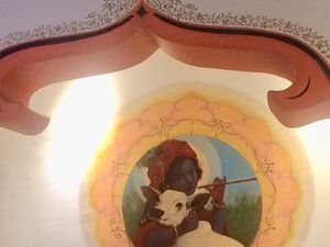 Wall  at Gulab Hari in Sao Paulo