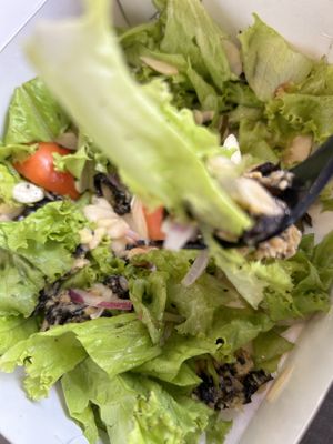   at WILD in Metro Manila