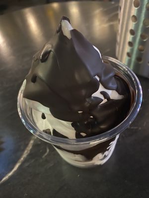 Hard shell sundae   at WILD in Metro Manila