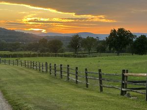   at Barrel Oak Winery and Brewery  in Delaplane