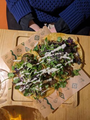 Mushroom tacos at Gallo Santo in Barcelona