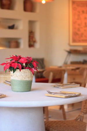  at Gallo Santo in Barcelona