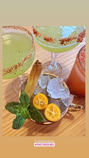   at Gallo Santo in Barcelona