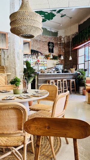   at Gallo Santo in Barcelona