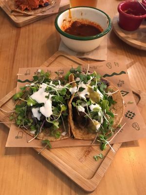   at Gallo Santo in Barcelona