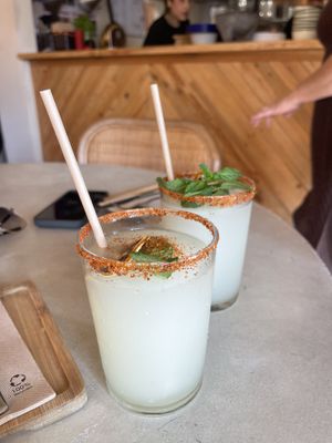   at Gallo Santo in Barcelona