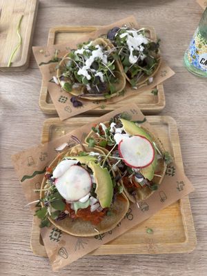 Carrot and shrooms tacos  at Gallo Santo in Barcelona