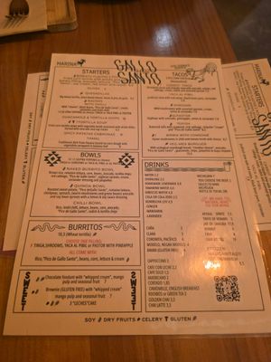  at Gallo Santo in Barcelona