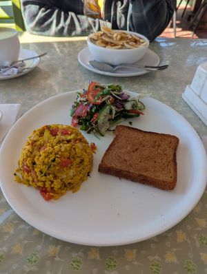 Indian style scrambled tofu (should have probably asked for more bread? at Bunty's Kitchen  in Pushkar