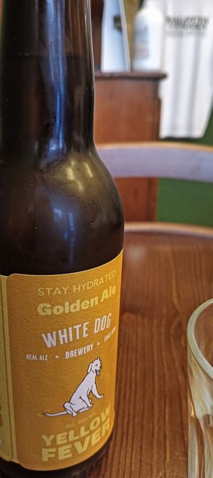 B at ZEM Bistro in Bologna