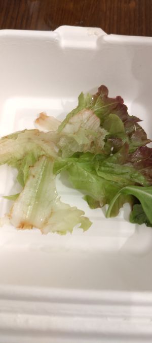 Brown mixed salad at ZEM Bistro in Bologna