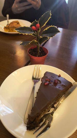 Sacher at ZEM Bistro in Bologna