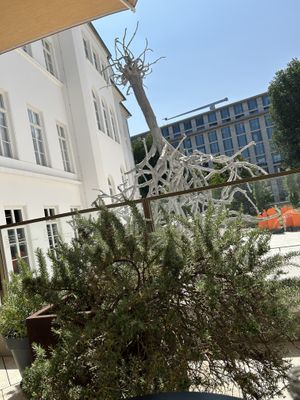 Nice place   at Life Deli in Frankfurt