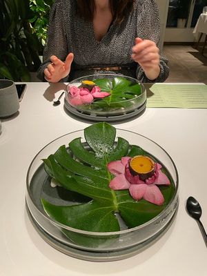  at Avatara Restaurant in Dubai