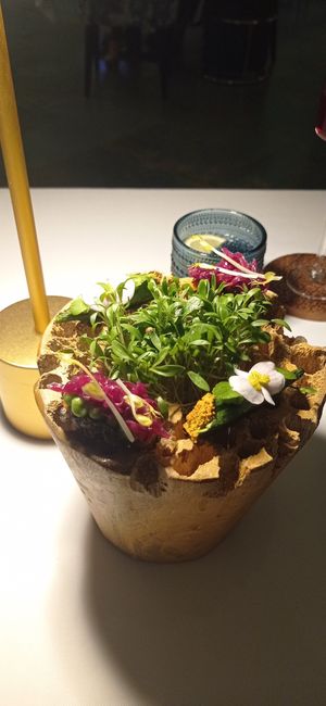  at Avatara Restaurant in Dubai