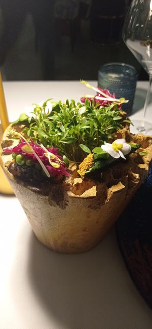  at Avatara Restaurant in Dubai