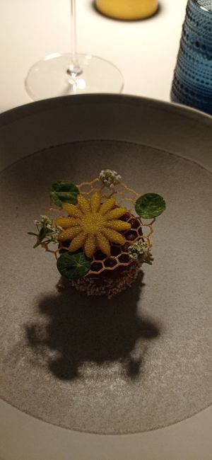  at Avatara Restaurant in Dubai