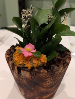  at Avatara Restaurant in Dubai