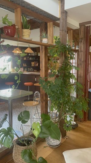   at Shizen  in Nozawaonsen