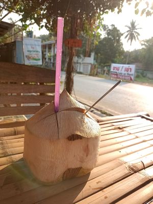 Fresh coconut at Hula Hula Pai Hostel and Restaurant in Pai