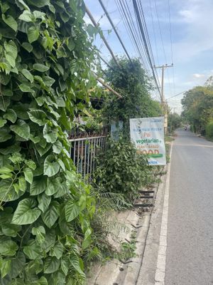   at Hula Hula Pai Hostel and Restaurant in Pai