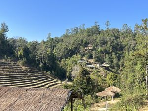 Views  #Veganuary at Chang Chill in Chiang Mai