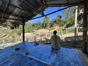 Observation deck  #Veganuary at Chang Chill in Chiang Mai