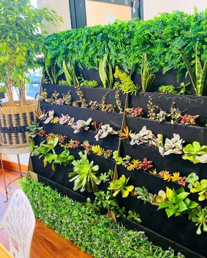 Living wall at Sweet Greens Juice Bar in Eureka
