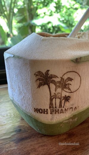 coco  at Sticky Island Cafe in Koh Phangan