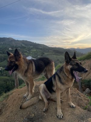   at Riverside in Jerico