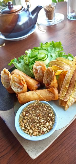 Spring rolls at Penne in Koh Samui