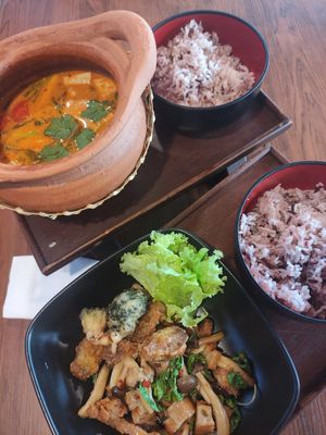 Spicy and sour coconut soup (Tom yam) and hot basil plant meats with rice at Penne in Koh Samui