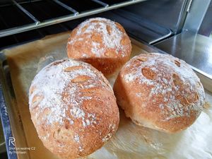  at Penne in Koh Samui