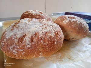  at Penne in Koh Samui