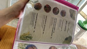 Mains   at Penne in Koh Samui